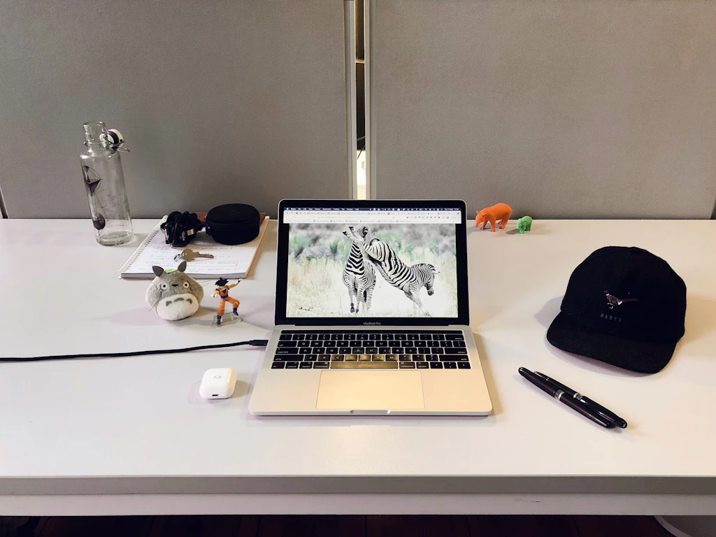 Genc's full-concentration work station in Berlin. (Yup, he's watching Zebras all day when he's not working)